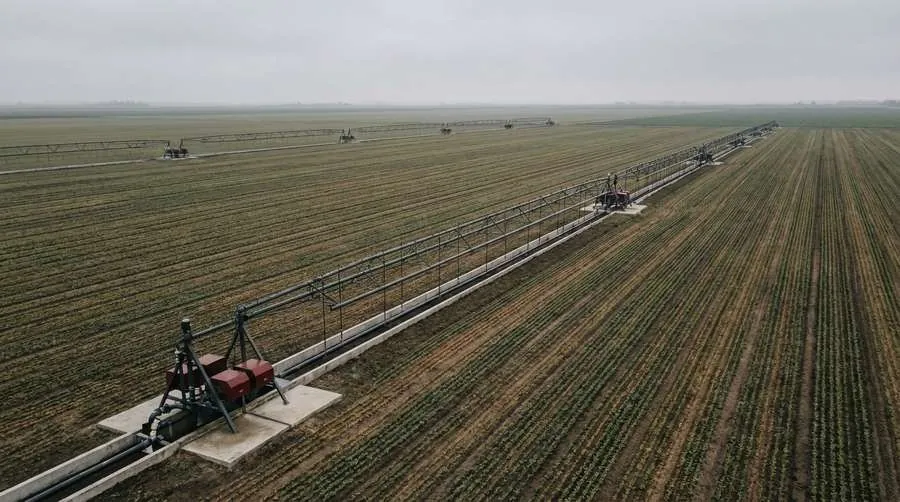 Irrigation infrastructure crossing cultivated fields toward a fog horizon